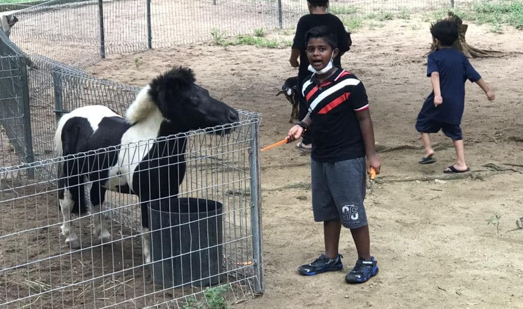 pettingzooteruntum