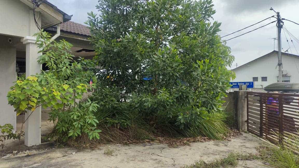 opskacaugangguinderapurabunutrendang2